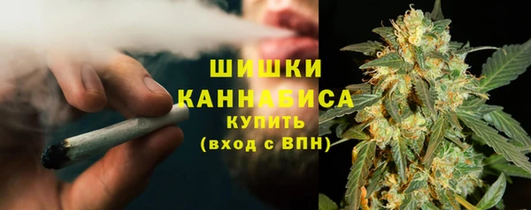 индика Майский