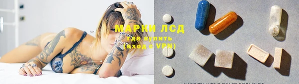 индика Майский