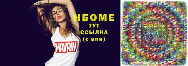индика Майский
