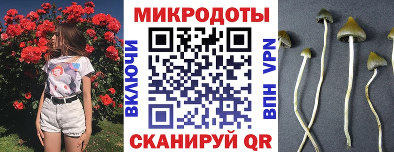 Галлюциногенные грибы мицелий  Мелеуз 