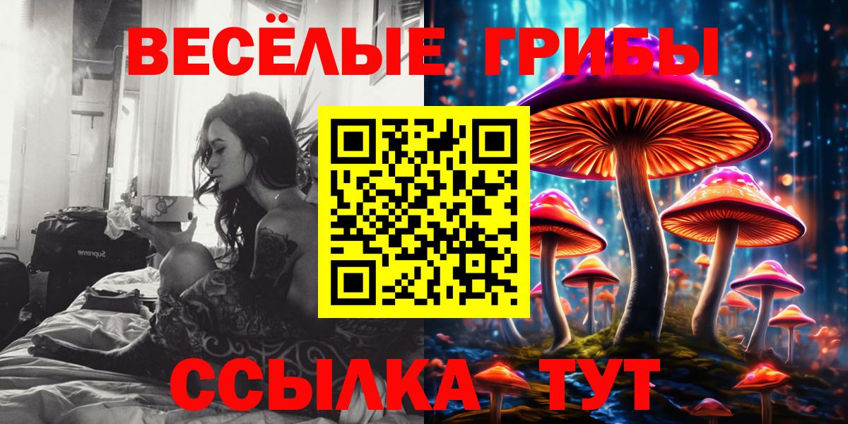 Галлюциногенные грибы Psilocybe  купить наркотики сайты  Мелеуз  Вход с VPN 